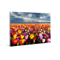 China Supplier Wall Art Decor Custom Digital Glass Print 5x7", 8x10", A4 Acrylic Photo Prints